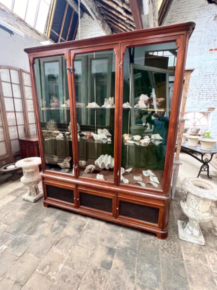 Store showcase cabinet, early 20th century 