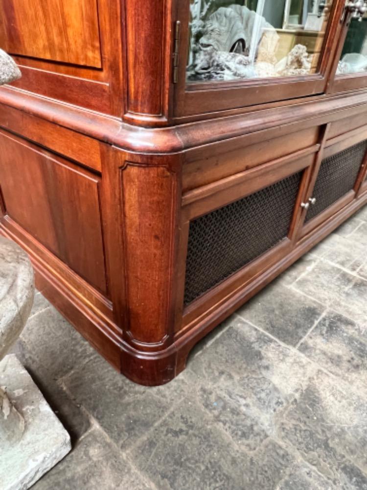 Store showcase cabinet, early 20th century 